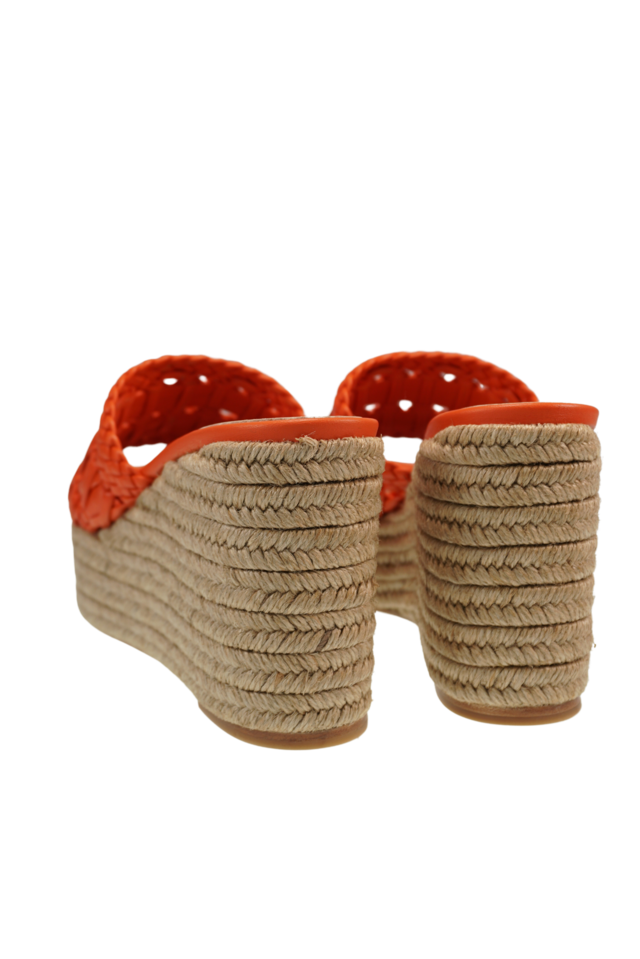 Lirios orange