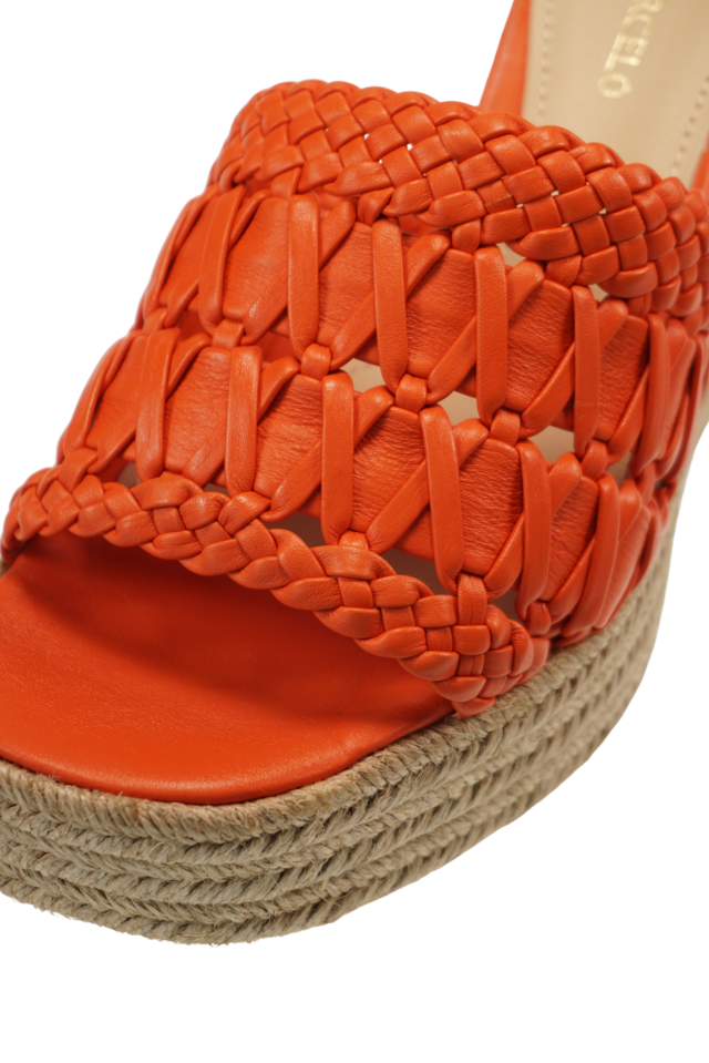 Lirios orange
