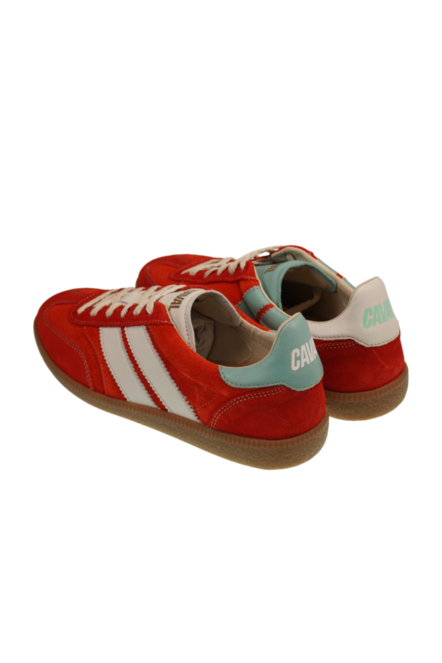 Pulse Ruby Mint