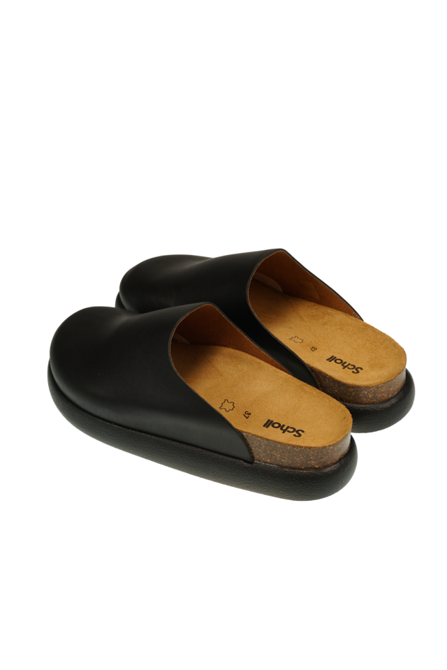 Ivy 2.0 black