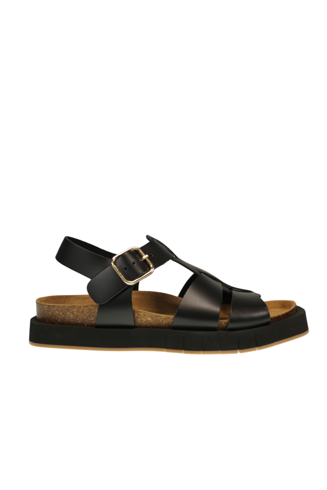 Maison black