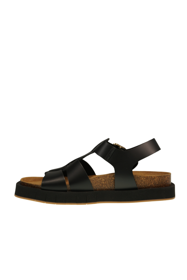 Maison black