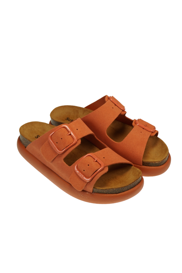 Noelle Chunky coral