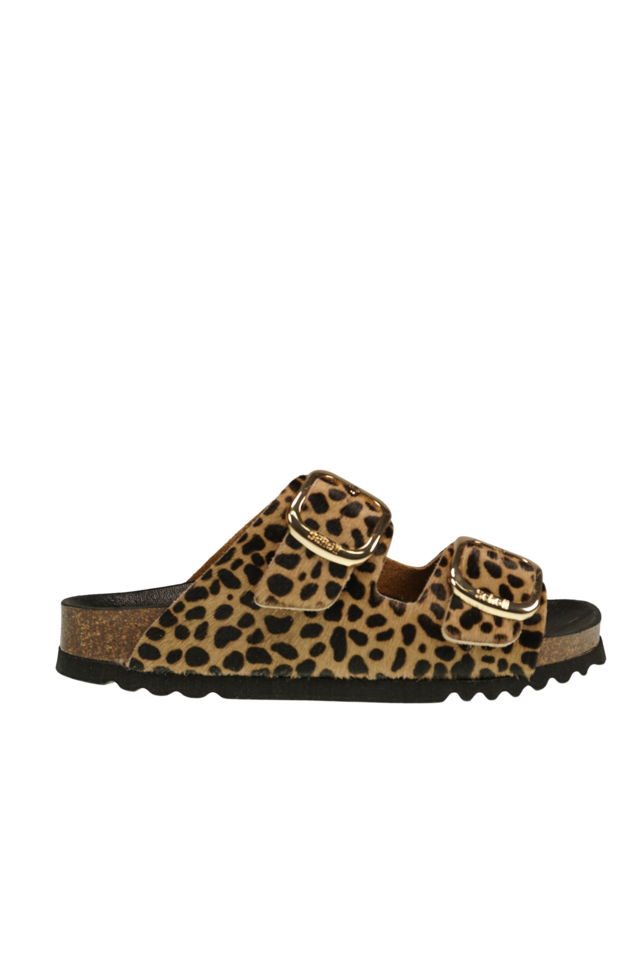Noelle leopard