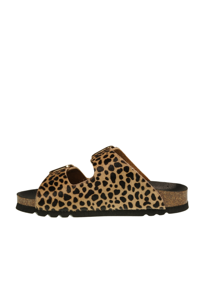 Noelle leopard