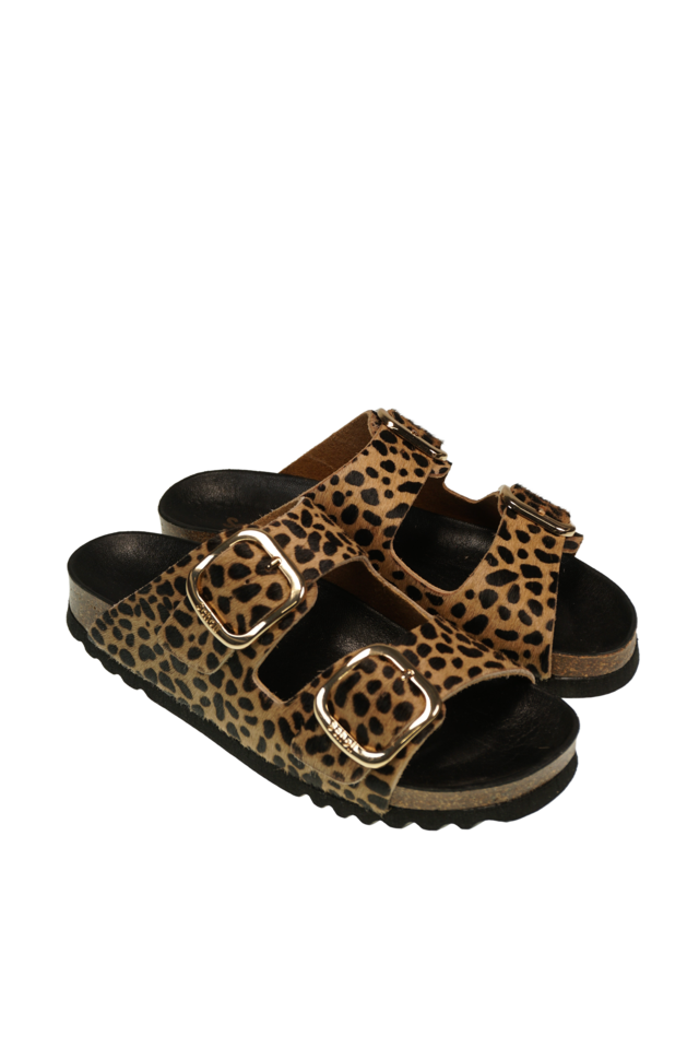 Noelle leopard