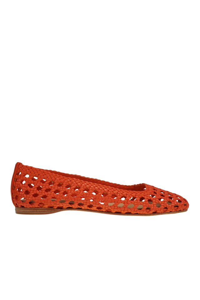 Shell orange