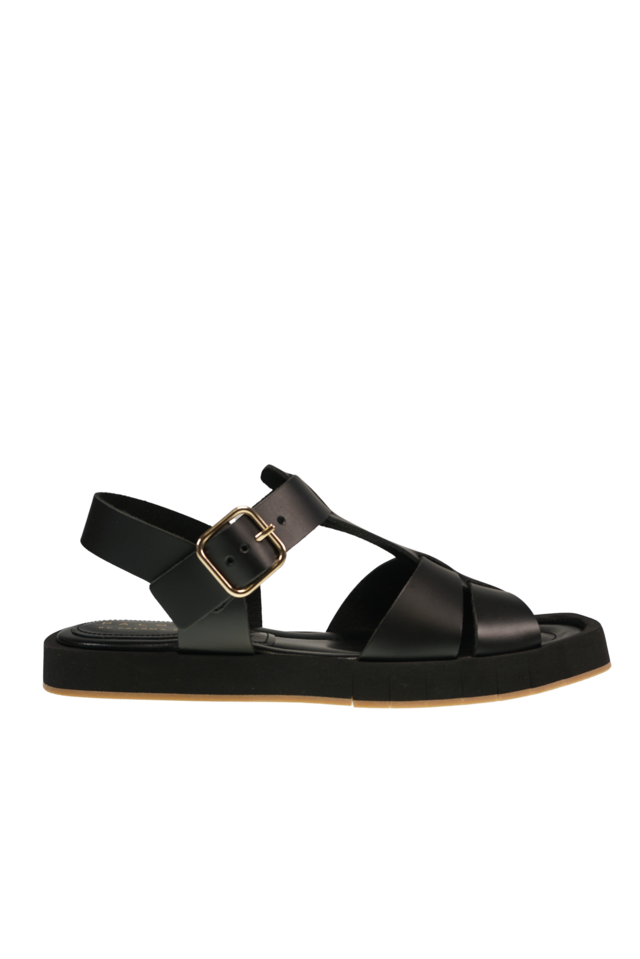 daisy-black