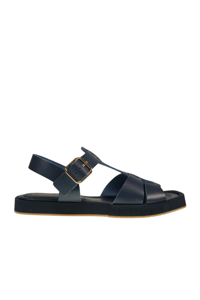 daisy-navy